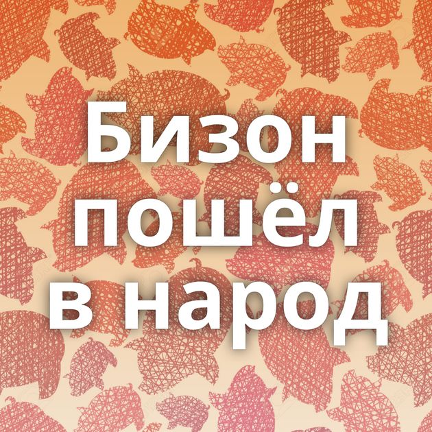 Бизон пошёл в народ
