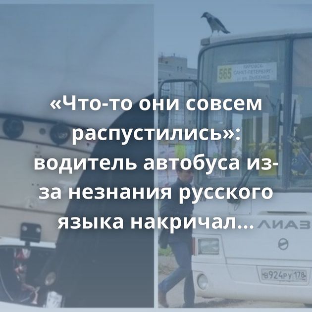 «Что-то они совсем распустились»: водитель автобуса из-за незнания русского языка накричал на пассажиров