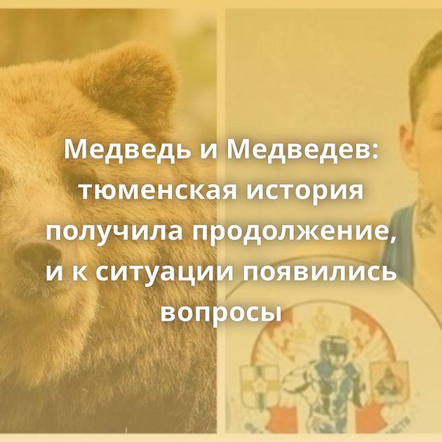 Медведь и Медведев: тюменская история получила продолжение, и к ситуации появились вопросы