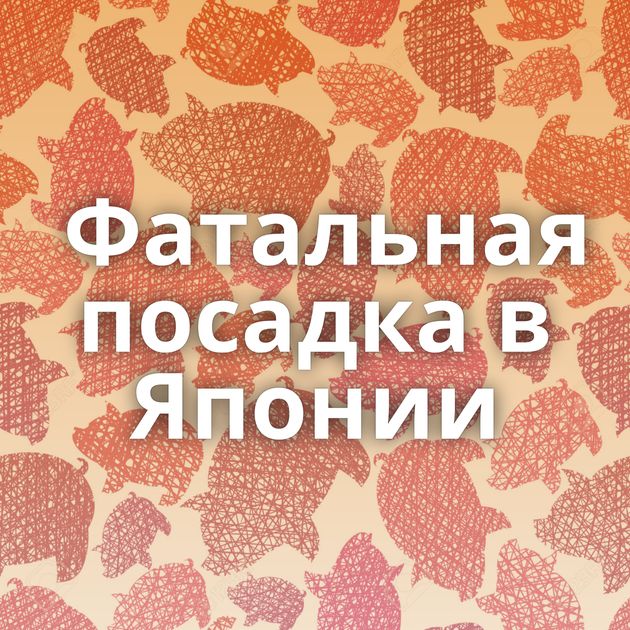 Фатальная посадка в Японии