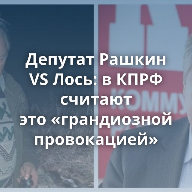 Депутат Рашкин VS Лось: в КПРФ считают это «грандиозной провокацией»