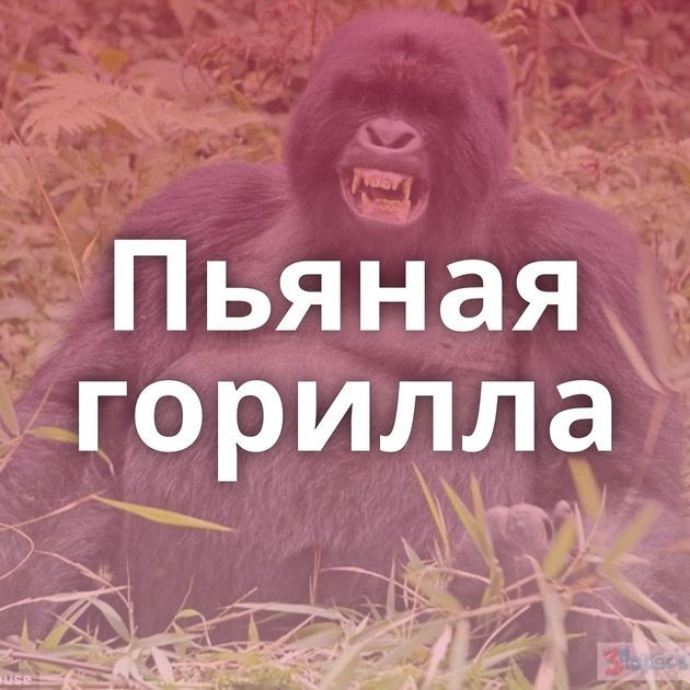 Пьяная горилла