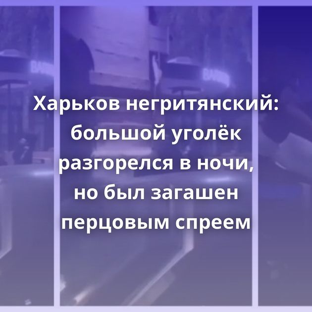 Харьков негритянский: большой уголёк разгорелся в ночи, но был загашен перцовым спреем