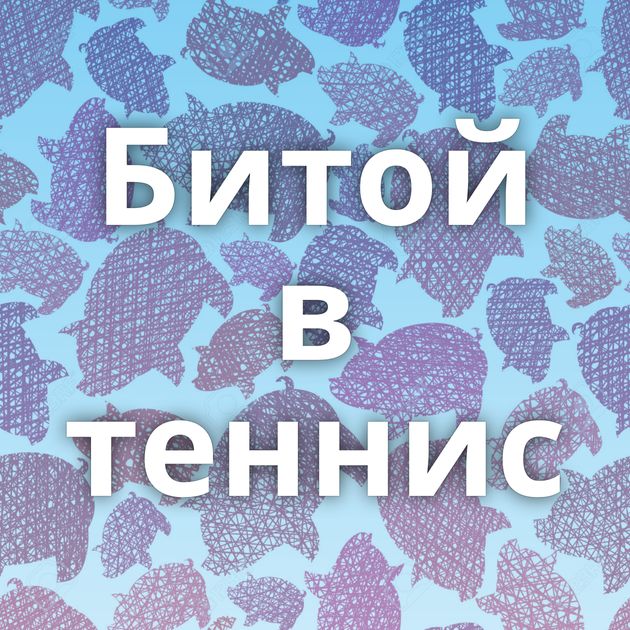 Битой в теннис
