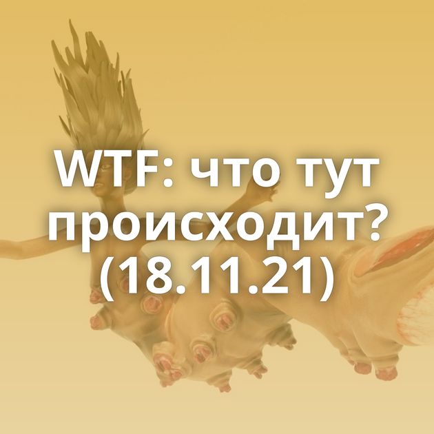 WTF: что тут происходит? (18.11.21)