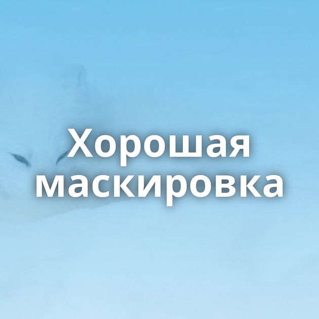 Хорошая маскировка