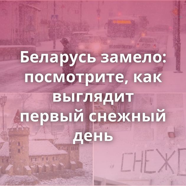 Беларусь замело: посмотрите, как выглядит первый снежный день