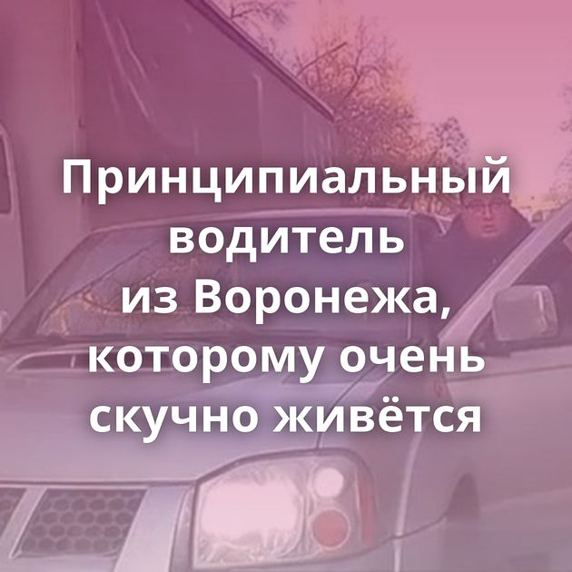 Принципиальный водитель из Воронежа, которому очень скучно живётся