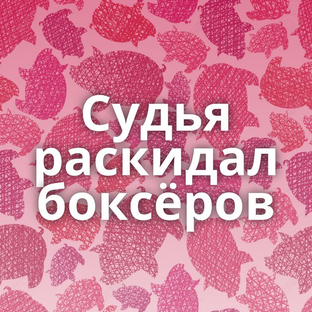 Судья раскидал боксёров