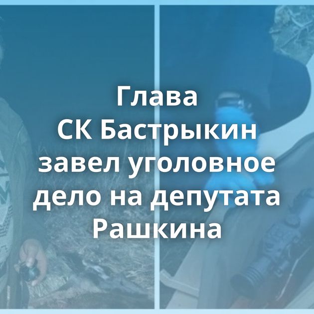 Глава СК Бастрыкин завел уголовное дело на депутата Рашкина