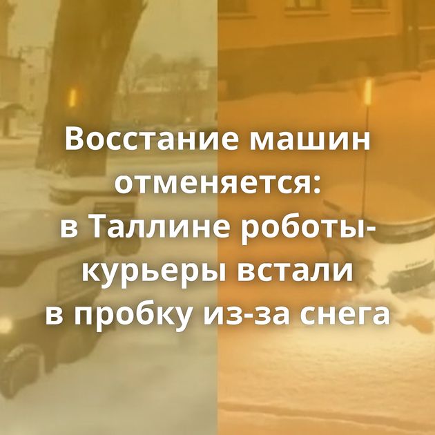 Восстание машин отменяется: в Таллине роботы-курьеры встали в пробку из-за снега