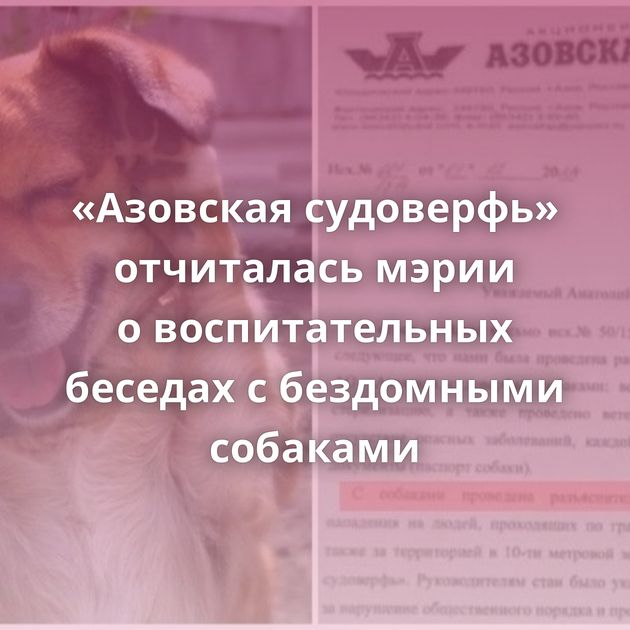 «Азовская судоверфь» отчиталась мэрии о воспитательных беседах с бездомными собаками
