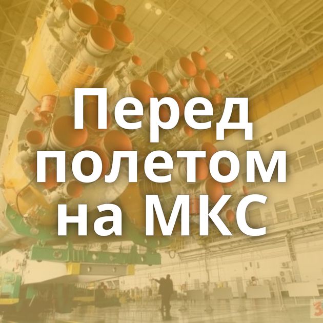 Перед полетом на МКС