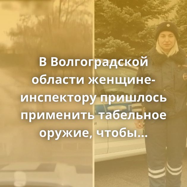 В Волгоградской области женщине-инспектору пришлось применить табельное оружие, чтобы остановить…