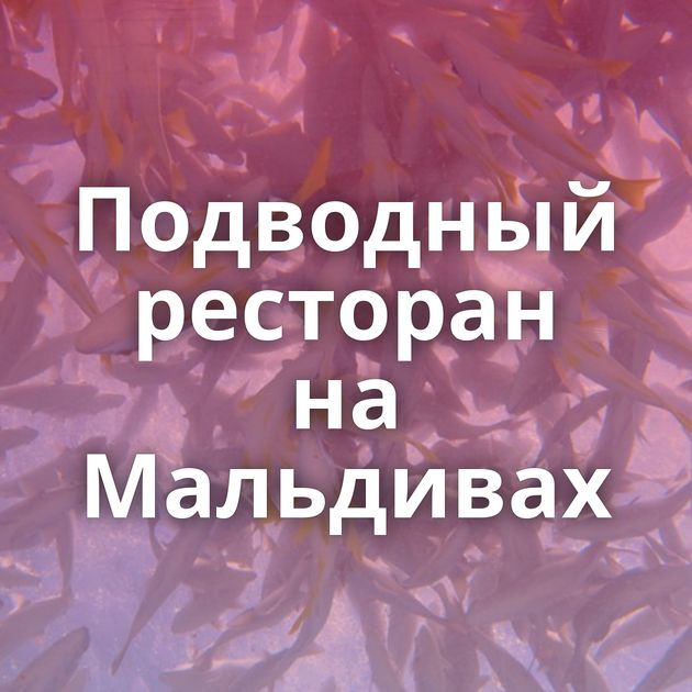 Подводный ресторан на Мальдивах