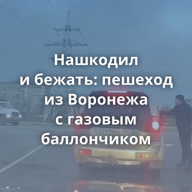 Нашкодил и бежать: пешеход из Воронежа с газовым баллончиком