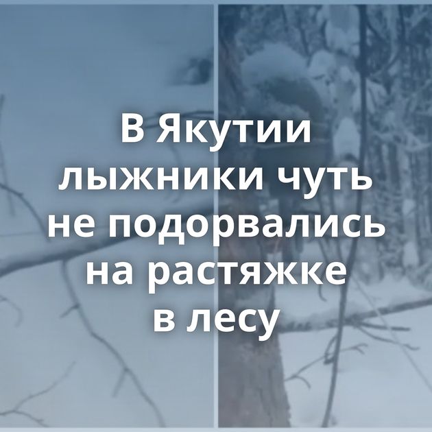В Якутии лыжники чуть не подорвались на растяжке в лесу
