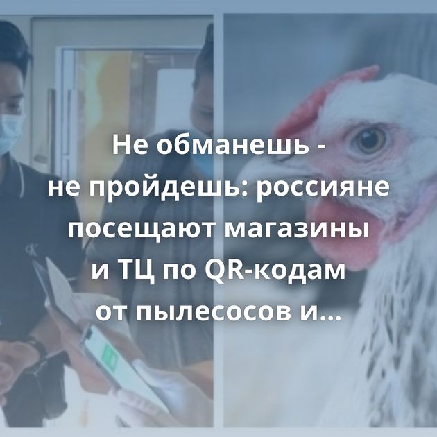 Не обманешь - не пройдешь: россияне посещают магазины и ТЦ по QR-кодам от пылесосов и колбасы