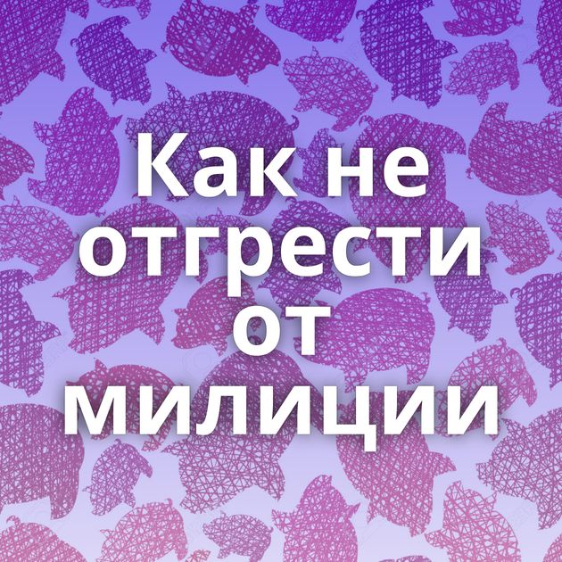 Как не отгрести от милиции