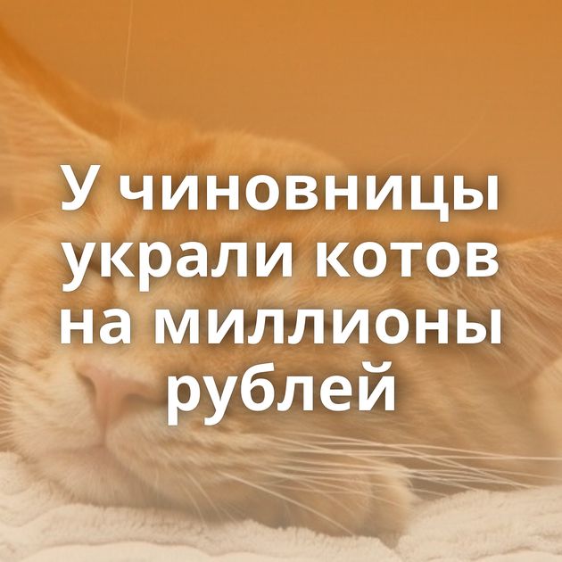 У чиновницы украли котов на миллионы рублей