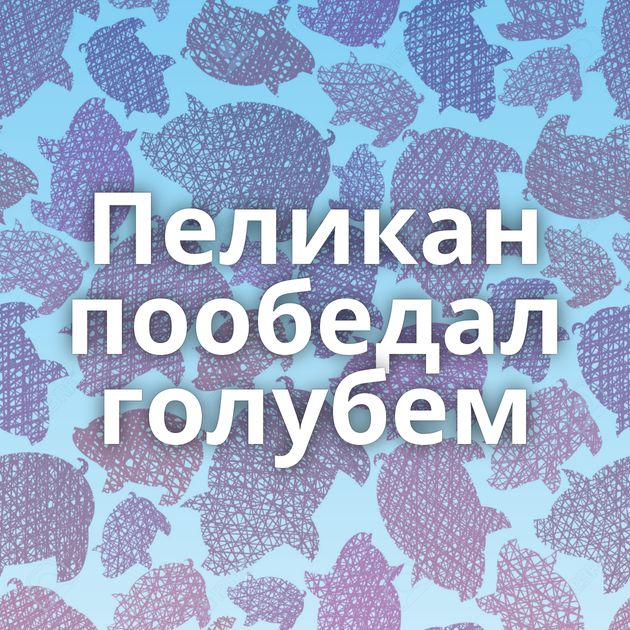 Пеликан пообедал голубем