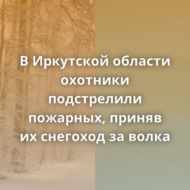 В Иркутской области охотники подстрелили пожарных, приняв их снегоход за волка