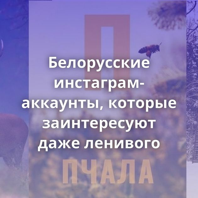 Белорусские инстаграм-аккаунты, которые заинтересуют даже ленивого