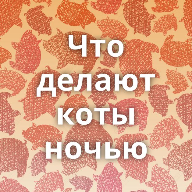 Что делают коты ночью