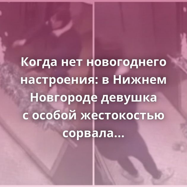 Когда нет новогоднего настроения: в Нижнем Новгороде девушка с особой жестокостью сорвала мишуру