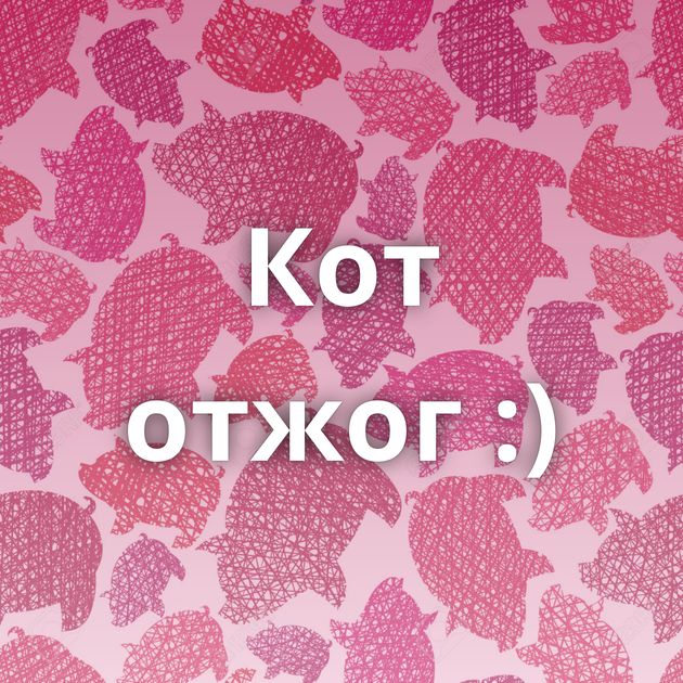 Кот отжог :)
