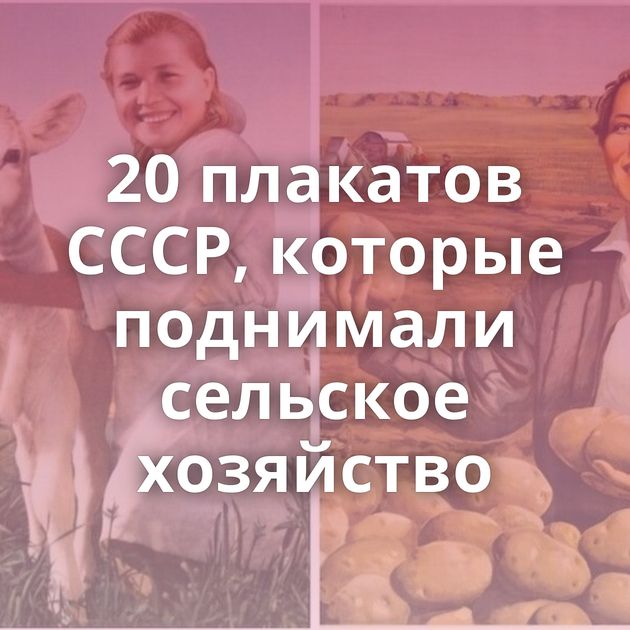 20 плакатов СССР, которые поднимали сельское хозяйство