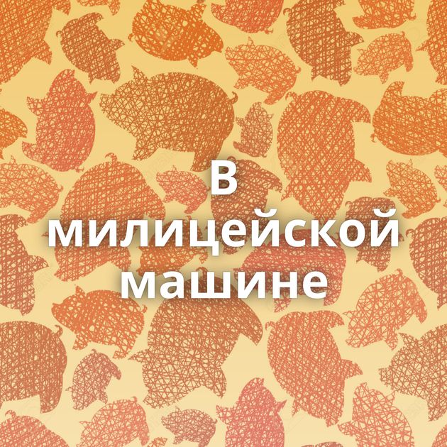 В милицейской машине