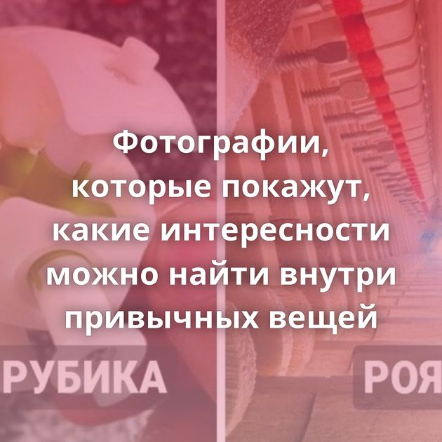 Фотографии, которые покажут, какие интересности можно найти внутри привычных вещей