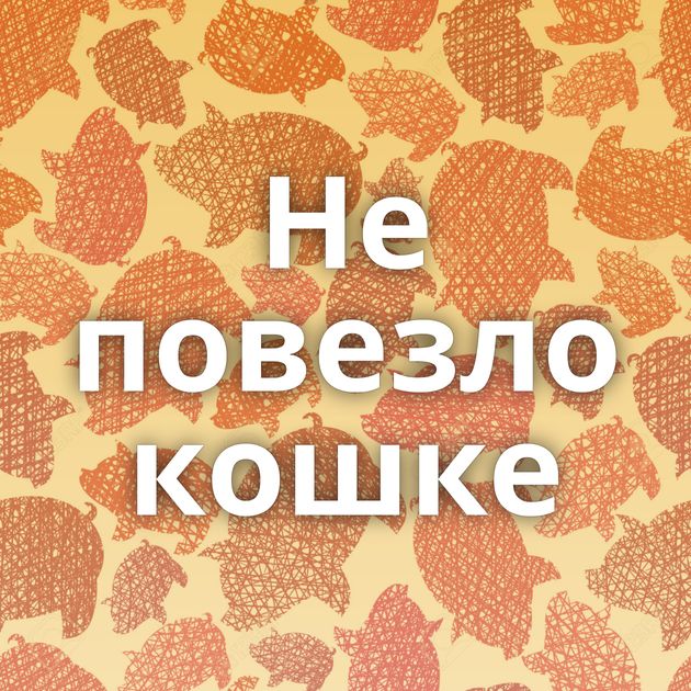 Не повезло кошке