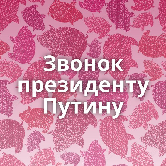 Звонок президенту Путину