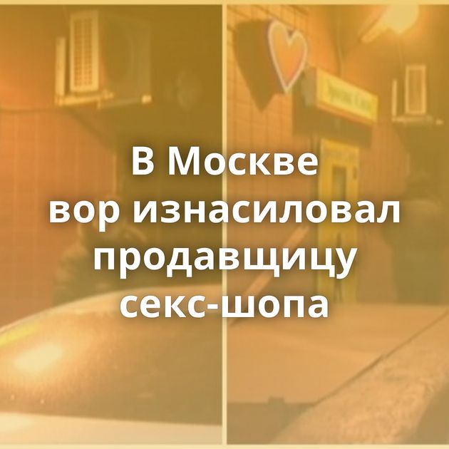 В Москве вор изнасиловал продавщицу секс-шопа