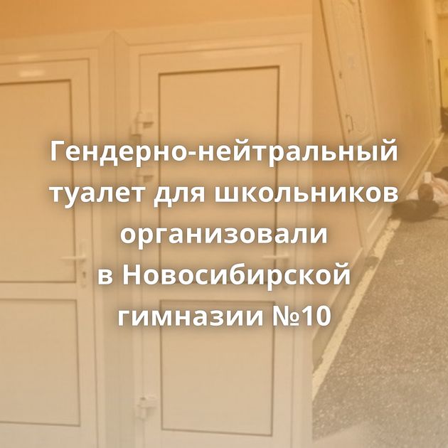 Гендерно-нейтральный туалет для школьников организовали в Новосибирской гимназии №10
