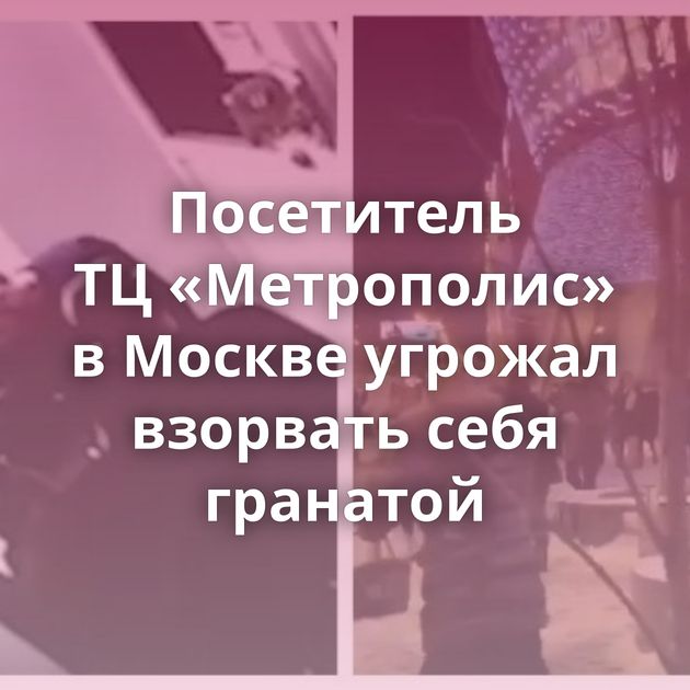 Посетитель ТЦ «Метрополис» в Москве угрожал взорвать себя гранатой