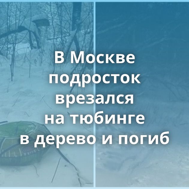 В Москве подросток врезался на тюбинге в дерево и погиб