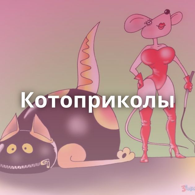 Котоприколы