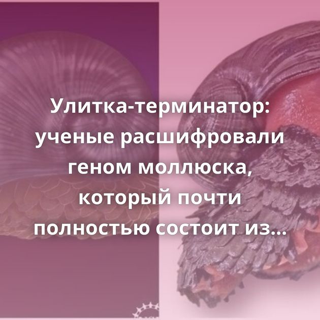 Улитка-терминатор: ученые расшифровали геном моллюска, который почти полностью состоит из железа