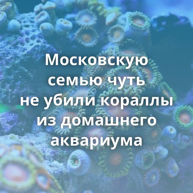 Московскую семью чуть не убили кораллы из домашнего аквариума