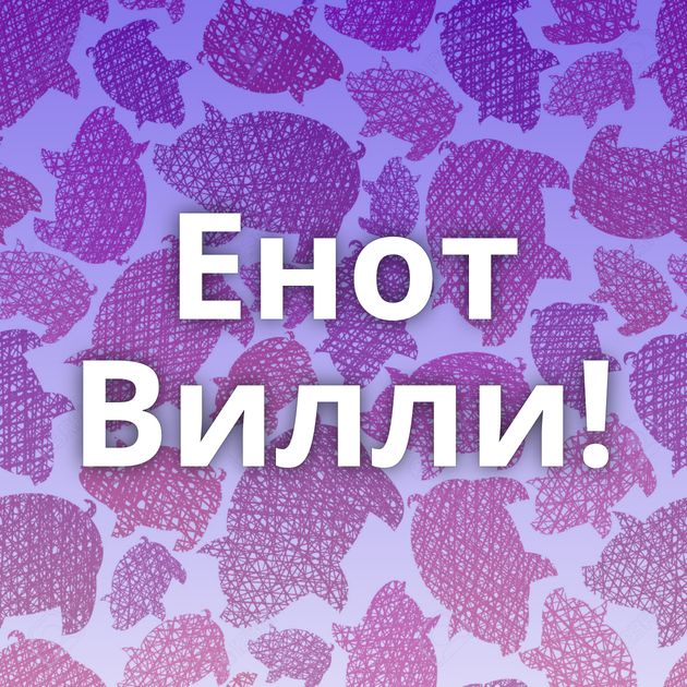 Енот Вилли!
