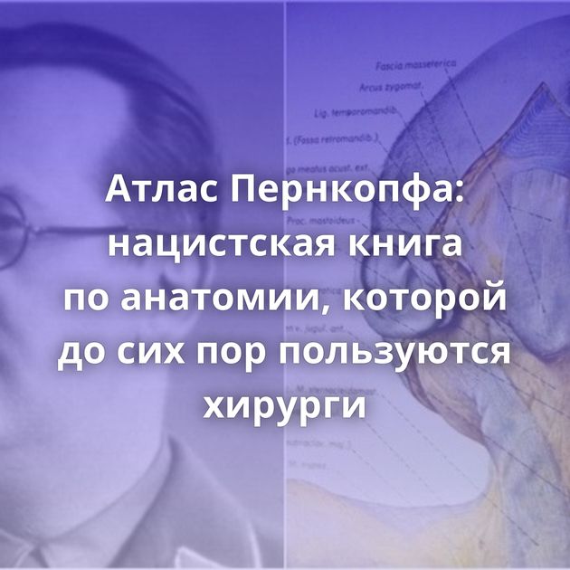 Атлас Пернкопфа: нацистская книга по анатомии, которой до сих пор пользуются хирурги