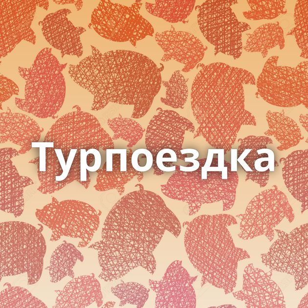 Турпоездка