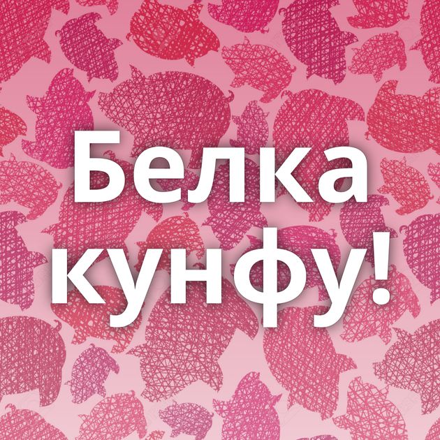 Белка кунфу!