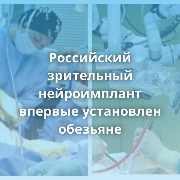 Российский зрительный нейроимплант впервые установлен обезьяне