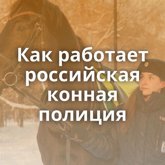 Как работает российская конная полиция