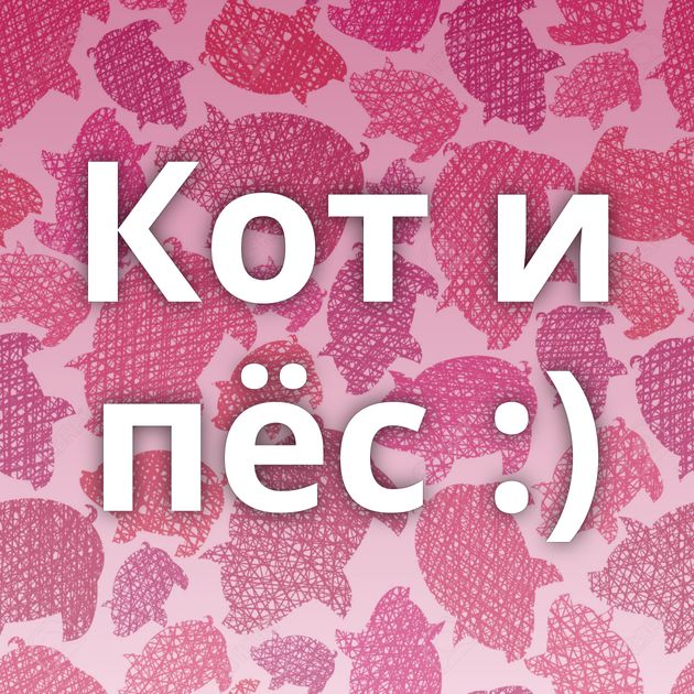 Кот и пёс :)