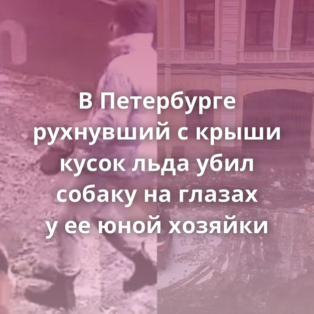 В Петербурге рухнувший с крыши кусок льда убил собаку на глазах у ее юной хозяйки